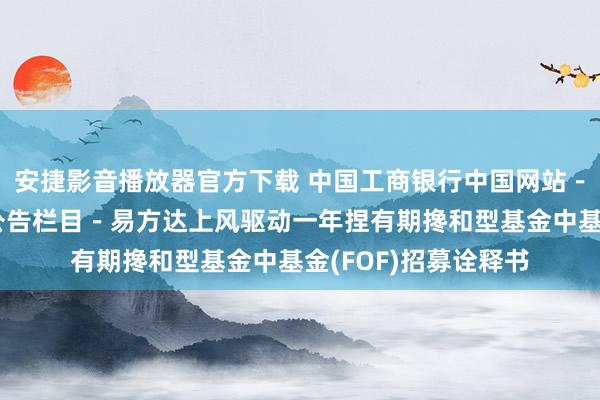 安捷影音播放器官方下载 中国工商银行中国网站－基金频说念－基金公告栏目－易方达上风驱动一年捏有期搀和型基金中基金(FOF)招募诠释书