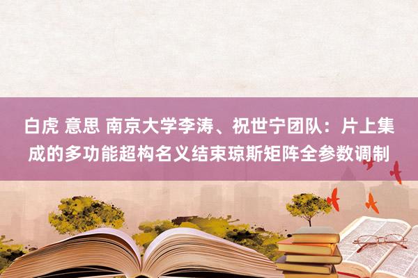 白虎 意思 南京大学李涛、祝世宁团队：片上集成的多功能超构名义结束琼斯矩阵全参数调制